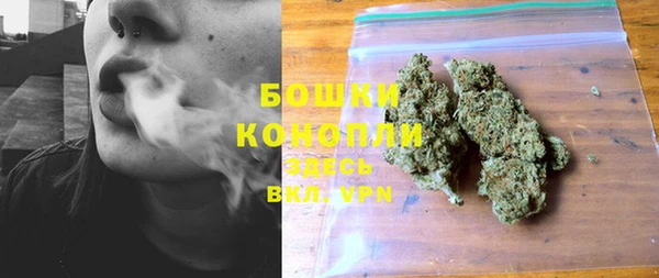 ECSTASY Богородицк