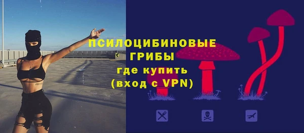 ECSTASY Богородицк