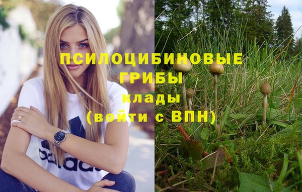 ECSTASY Богородицк