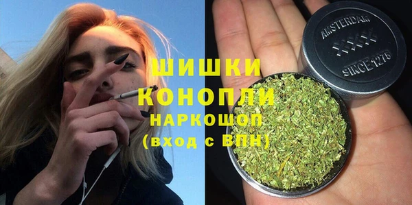 ECSTASY Богородицк