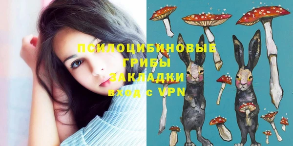 ПСИЛОЦИБИНОВЫЕ ГРИБЫ Богданович
