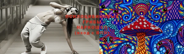 ECSTASY Богородицк