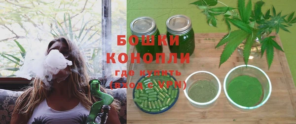 ПСИЛОЦИБИНОВЫЕ ГРИБЫ Богданович