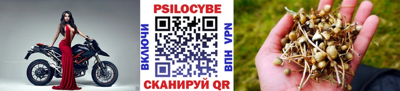 хочу наркоту  Наро-Фоминск  Галлюциногенные грибы прущие грибы 